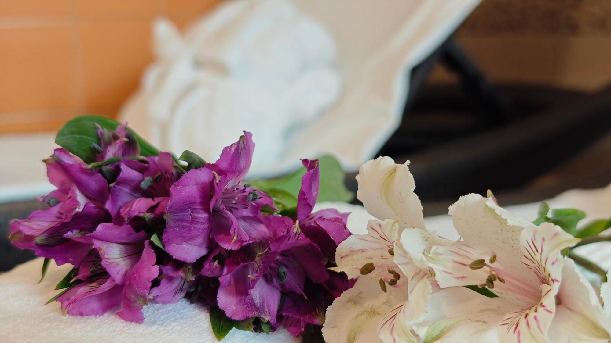 Wellness - Zlobice 3*